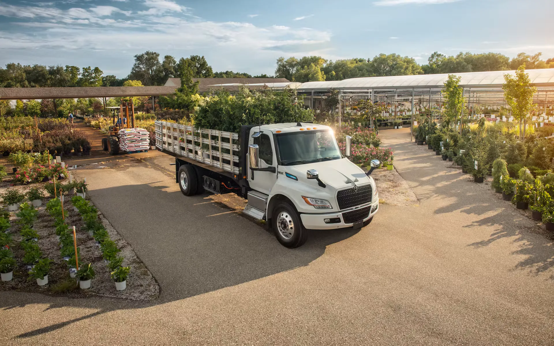 International eMV de jardinería