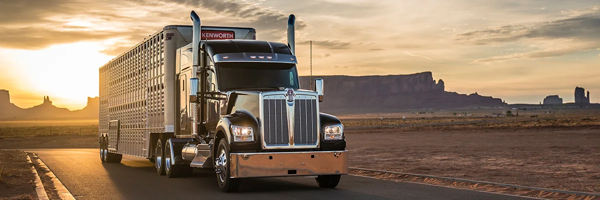 Kenworth W990 al atardecer